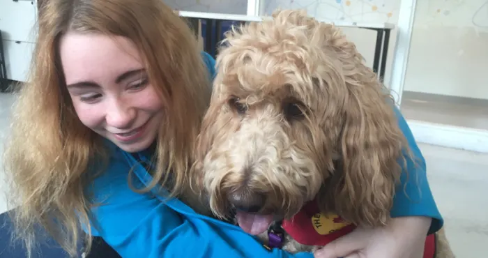 High school students get some four-legged exam stress relief
