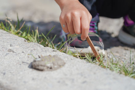 A child uses a popsicle stick to dig into a shrub.