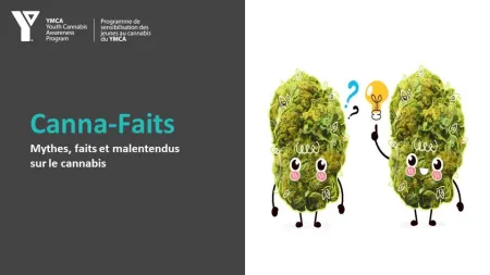 Image. Canna-Faits : Mythes, faits et malentendus sur le cannabis - adolescents – pour les personnes de 15 ans et plus