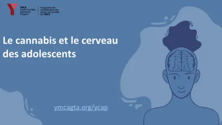 Image. Le cannabis et le cerveau des adolescents – pour les personnes de 15 ans et plus