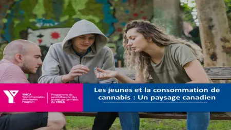 Image. Les jeunes et la consommation de cannabis : Un paysage canadien – pour les personnes de 19 ans et plus et les adultes