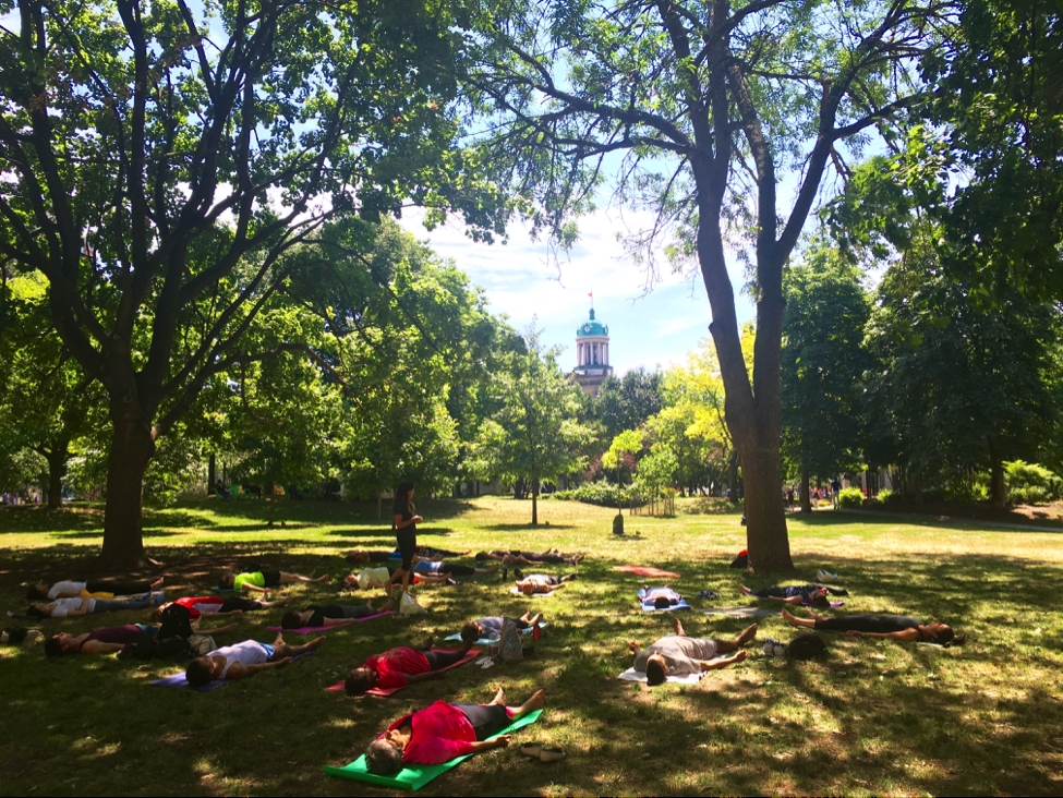 Optimized-Meditation in the park